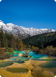首页 - 黄龙景区官方网站